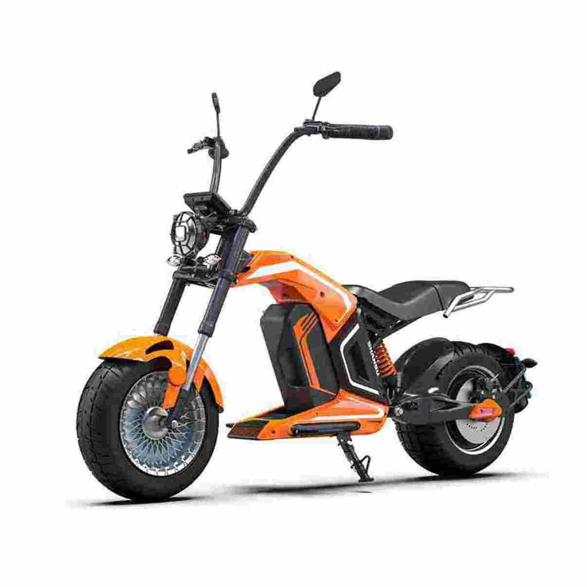 View of Portable Folding Electric Bike Rooder Mocha Nigeria